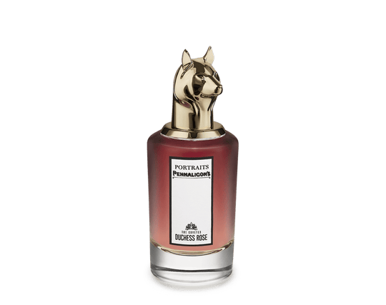 The Coveted Duchess Rose