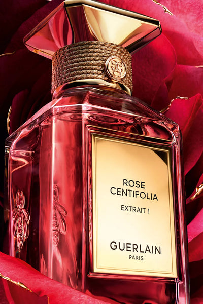 Rose Centifolia Extrait 1