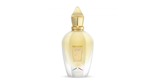 Naxos Xerjoff, eau de parfum 100 ml | Poudrine Dakar