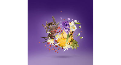 Purple Accento